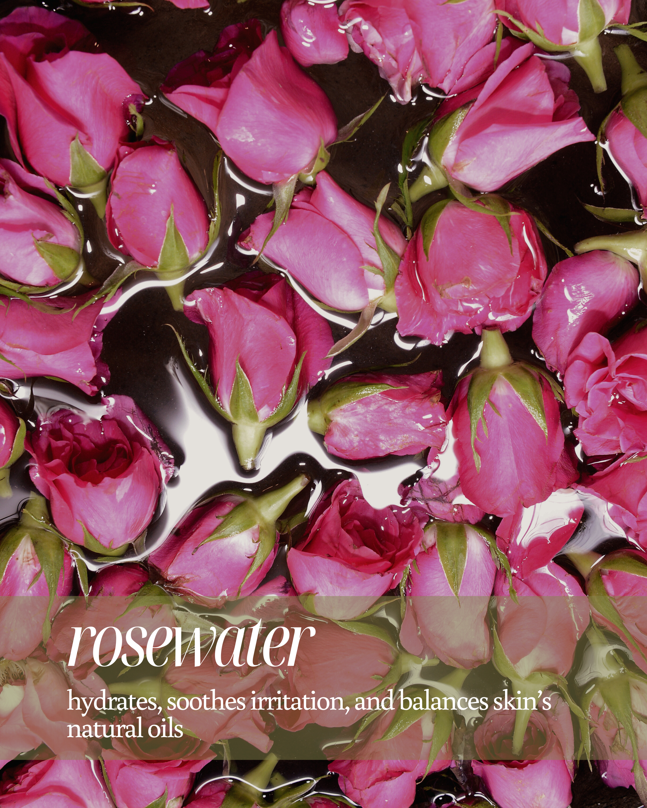 Pink roses floating in water with text about rosewater benefits reading "hydrates, soothes irritation, and balances skin’s natural oils"