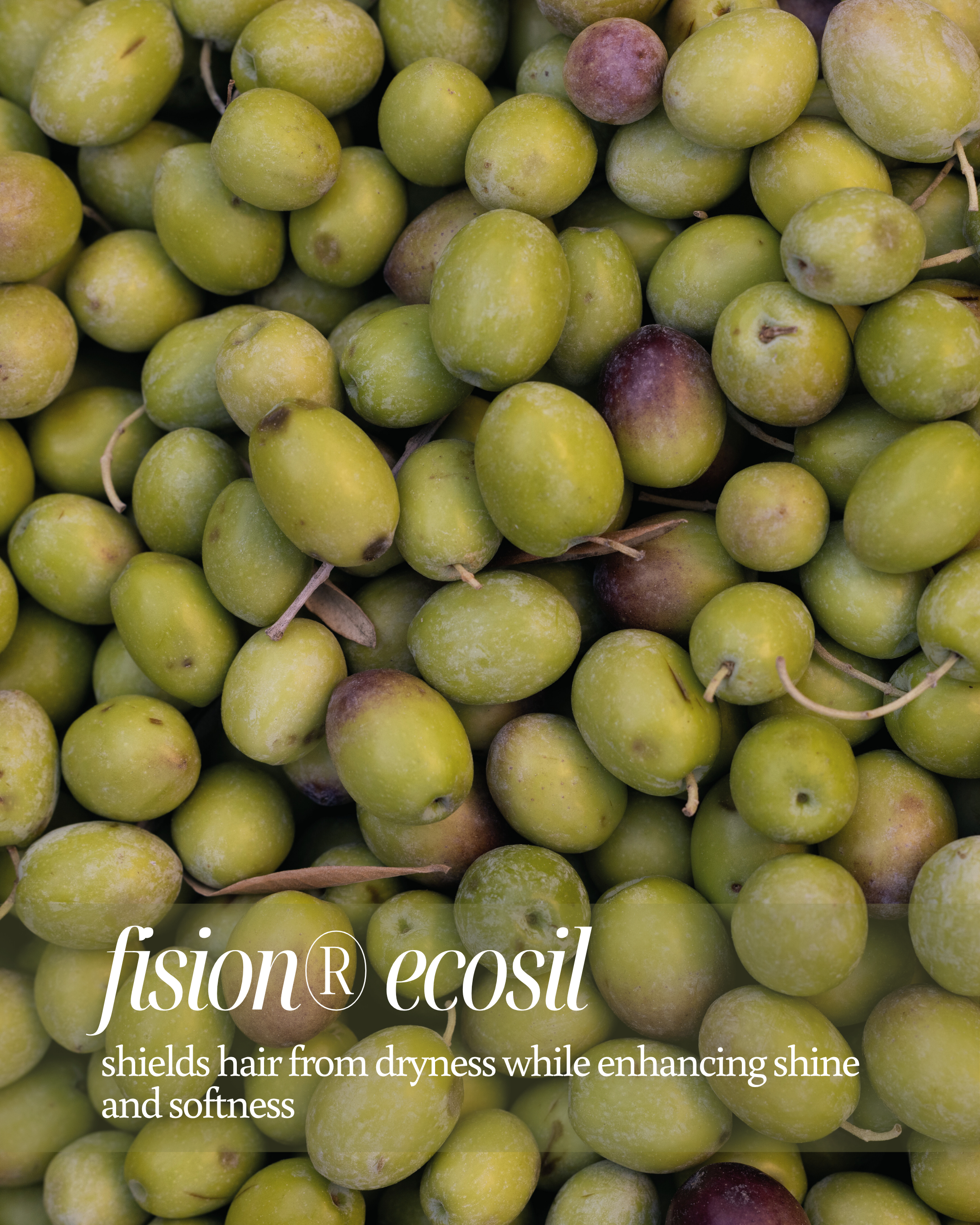 Close-up of green olives with fision ecosil product with text overlay "shields hair from dryness while enhancing shine and softness"