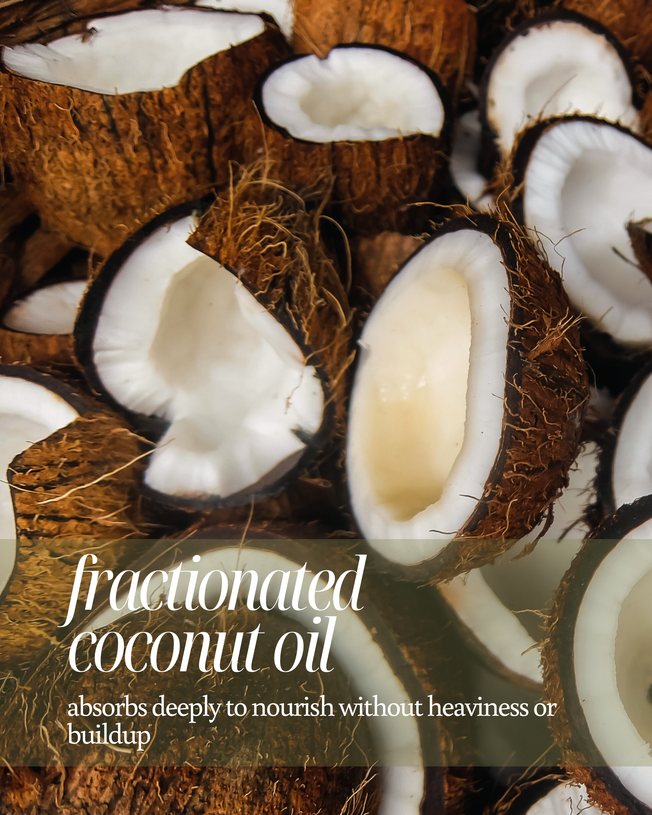 Coconut halves with text about fractionated coconut oil reading "absorbs deeply to nourish without heaviness or buildup"