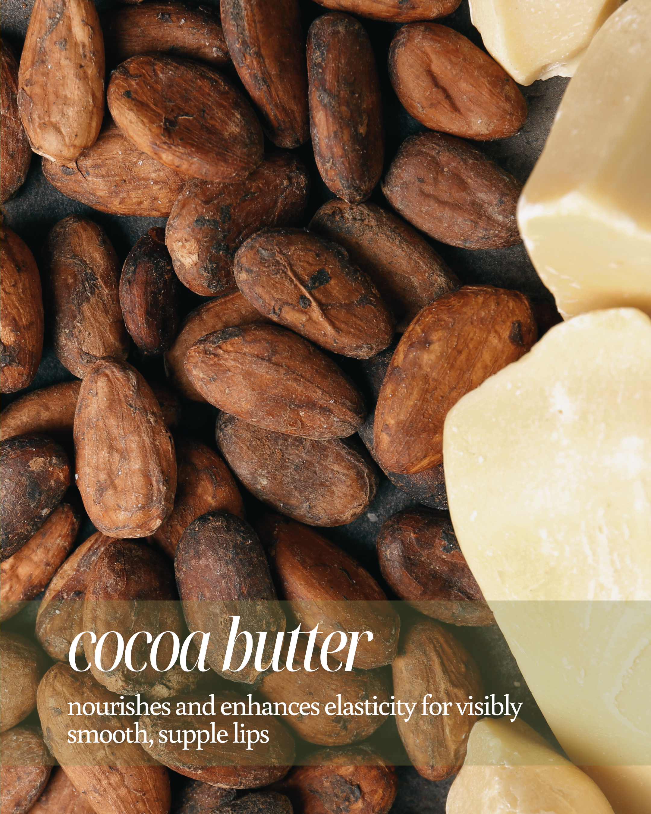 Cocoa beans and cocoa butter used as background for highlighting its benefits, stating ‘nourishes and enhances elasticity for visibly smooth, supple lips'