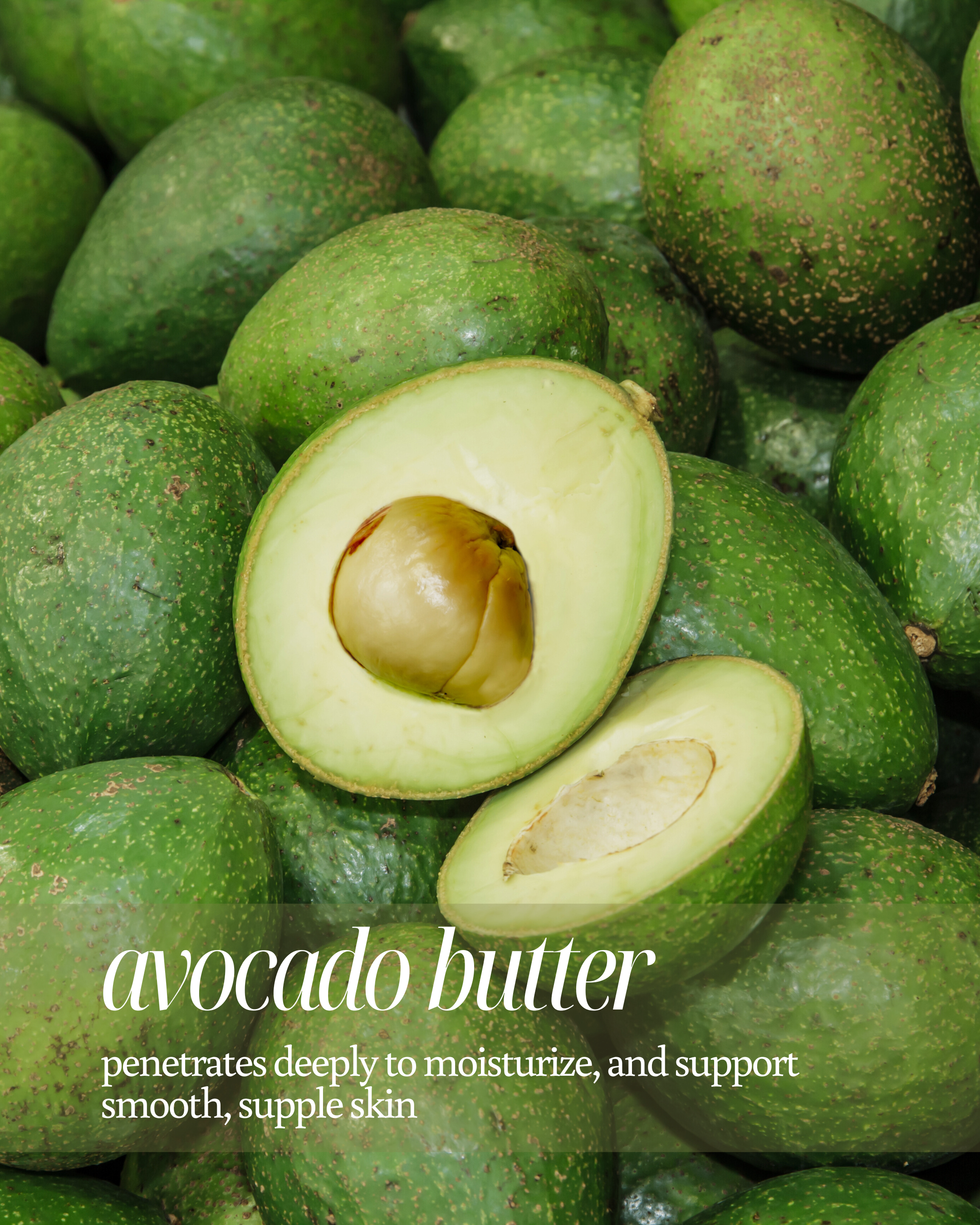 Avocados with a halved avocado on top, surrounded by whole avocados, with text "avocado butter penetrates deeply to moisturize, and support smooth, supple skin"