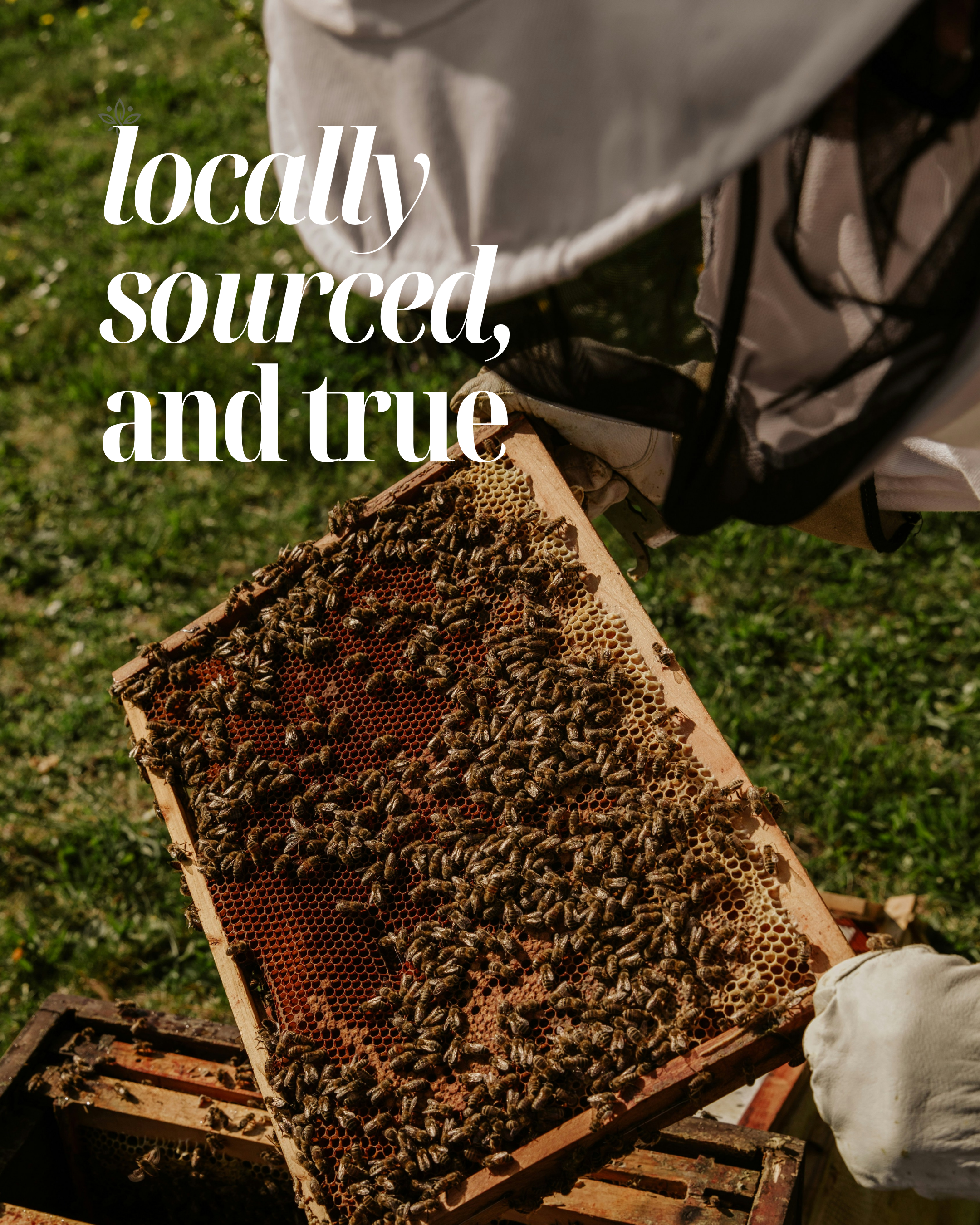 Person in beekeeping suit holding a honeycomb frame with text 'locally sourced, and true'.