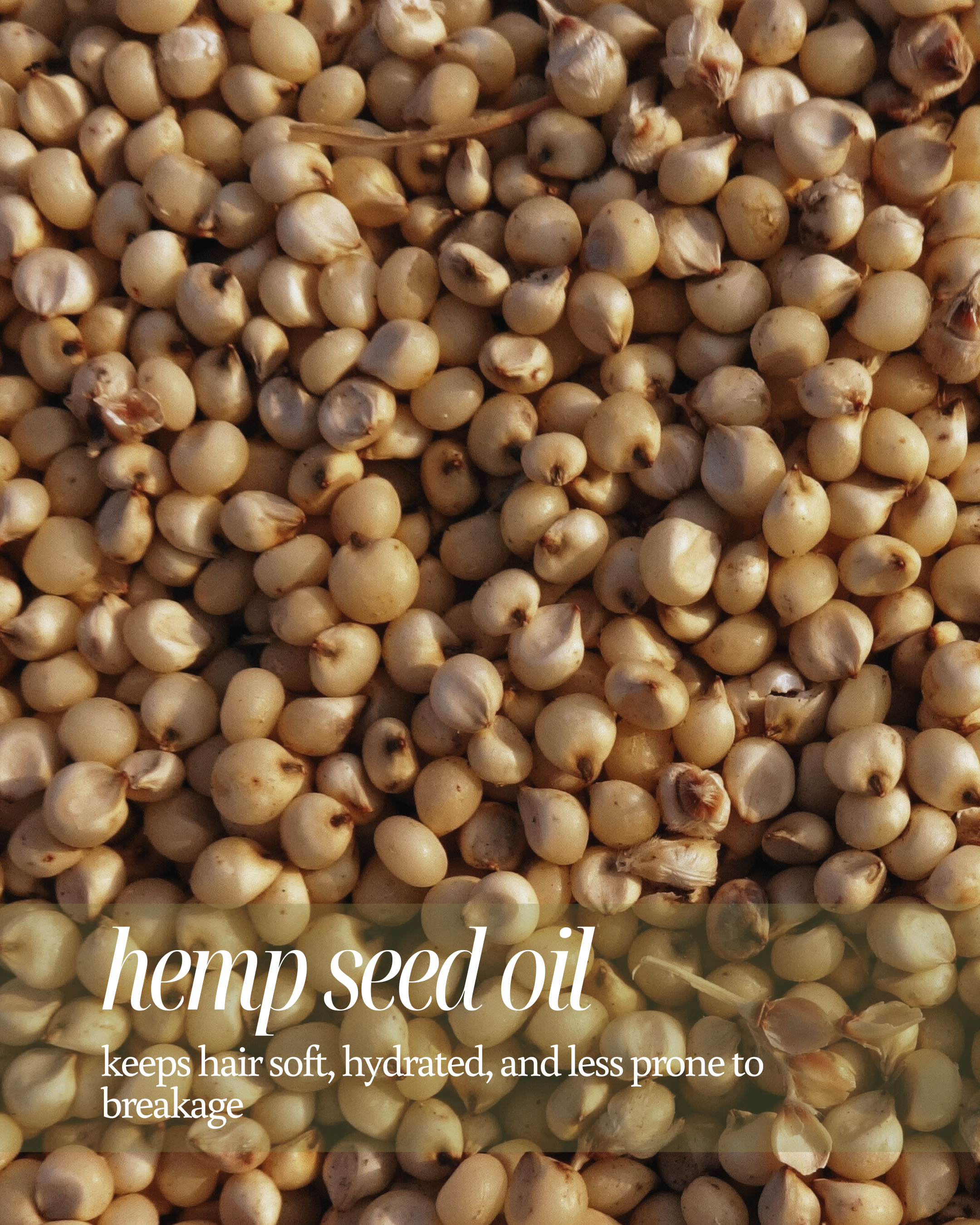 Close-up of hemp seeds with text about hemp seed oil benefits reading "keeps hair soft, hydrated, and less prone to breakage"