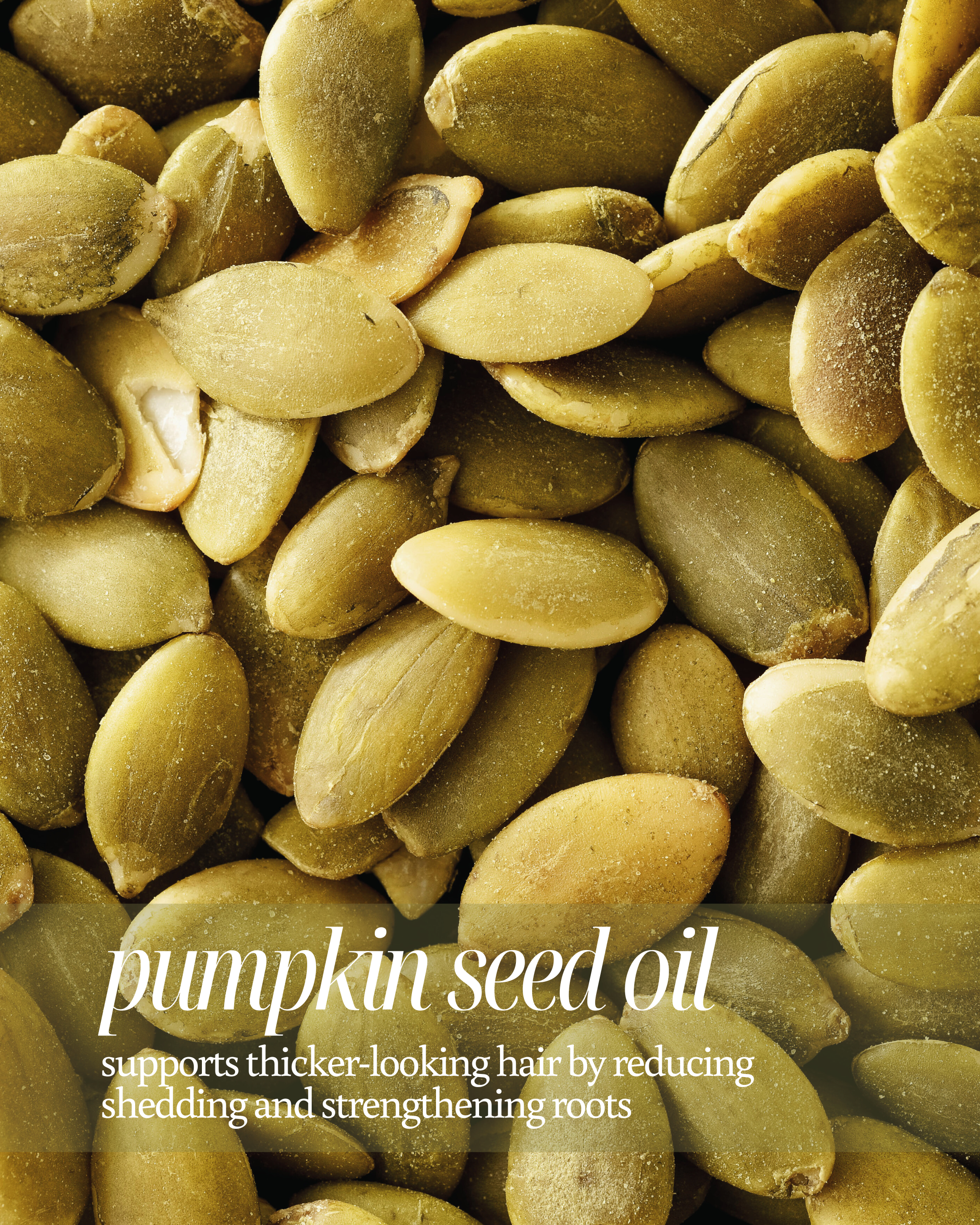 Close-up of pumpkin seeds with text about pumpkin seed oil benefits reading "supports thicker-looking hair by reducing shedding and strengthening roots"