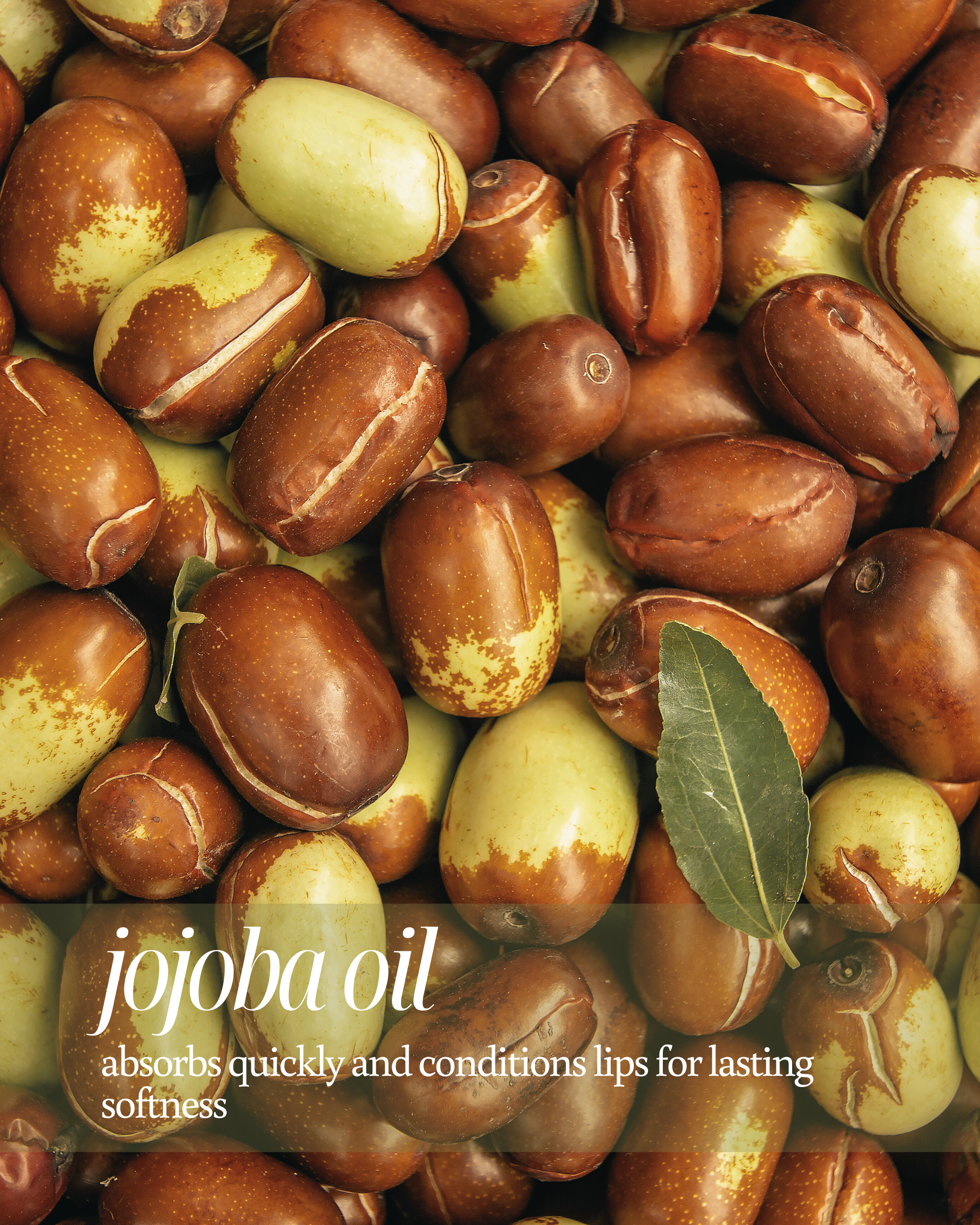 Jojoba Seeds used as a background for text highlighting jojoba oil's lipcare benefits, stating ‘absorbs quickly and conditions lips for lasting softness’