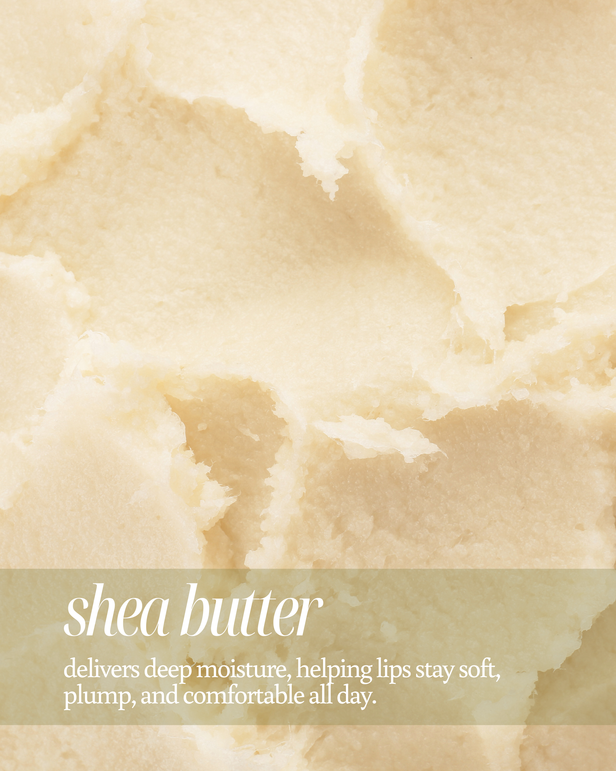 Close up of creamy shea butter texture used as background, highlighting its benefits in lip care stating, "helps repair dry, chapped lips, keeping them soft and comfortable"