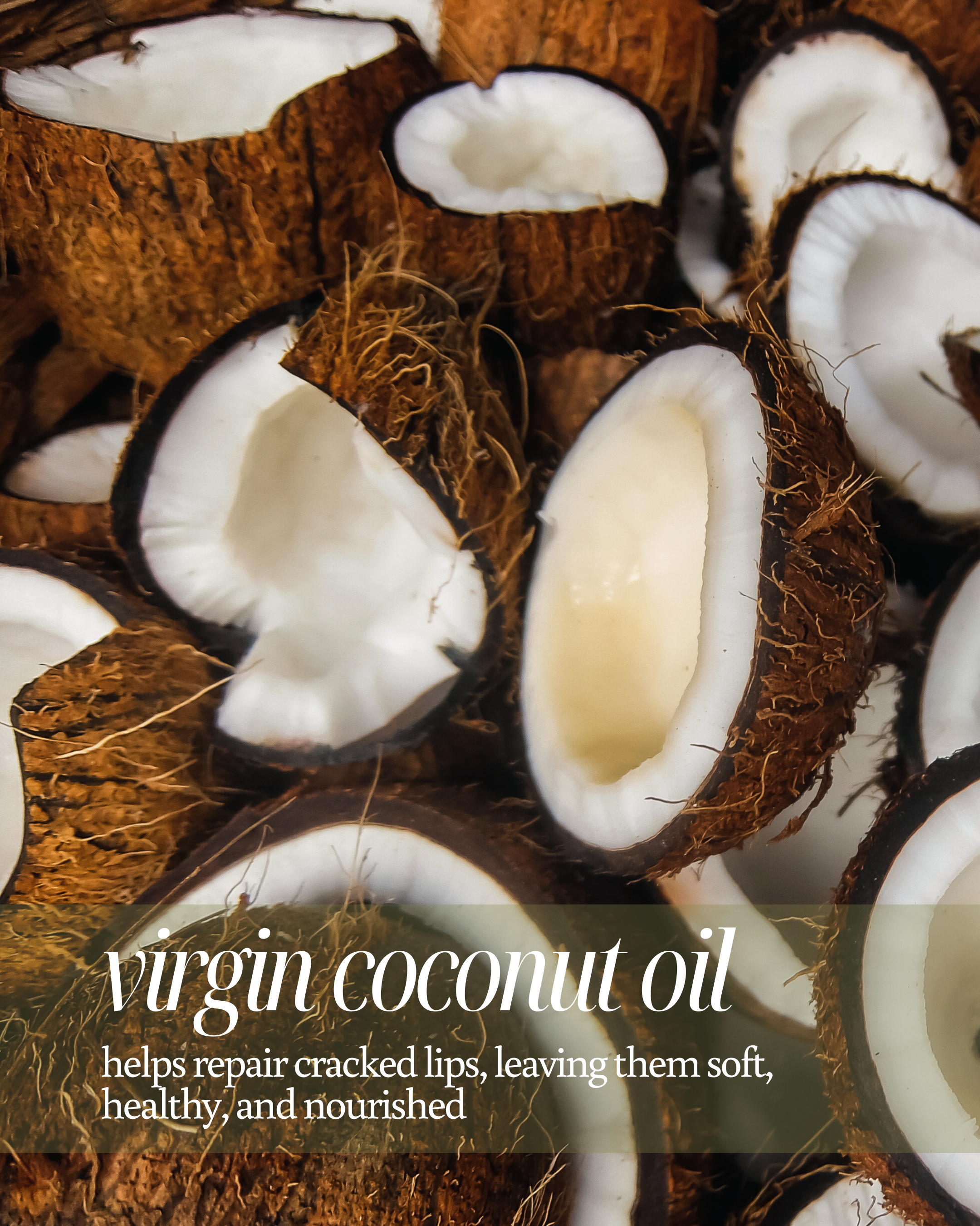 Coconut halves used as background with text about virgin coconut oil reading "prevents moisture loss, so lips stay smooth and protected"