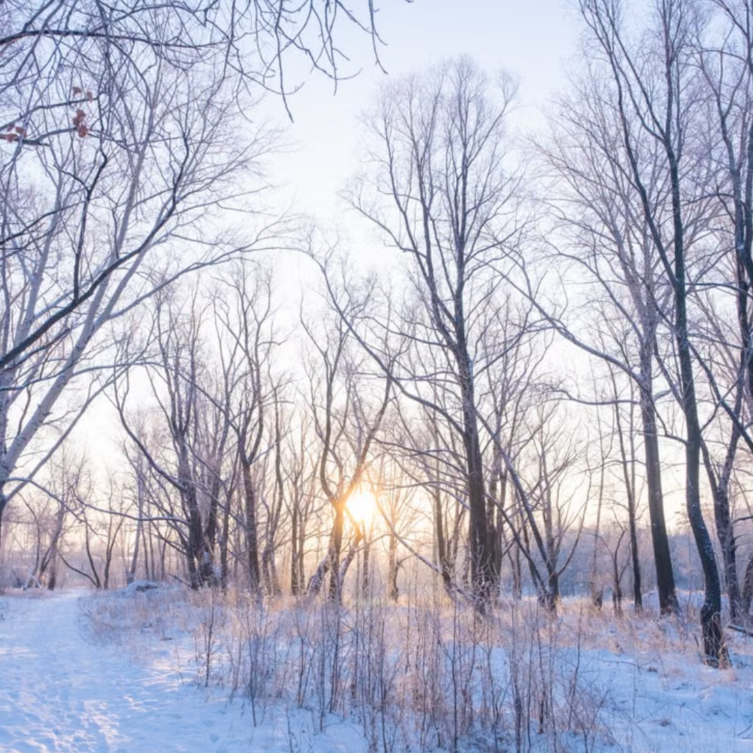 Canadian winter skincare for immigrants