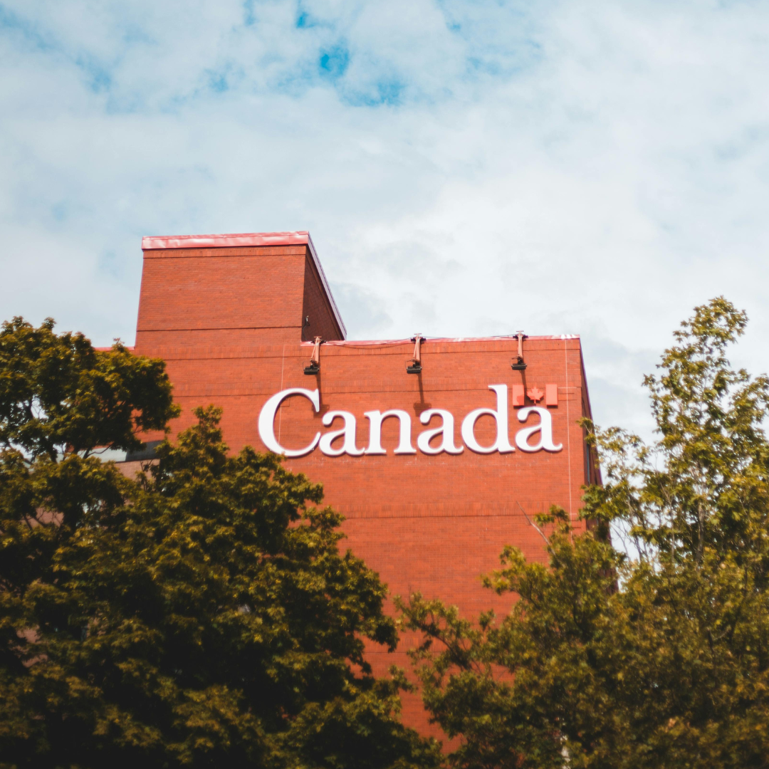 which hair oil to buy in Canada