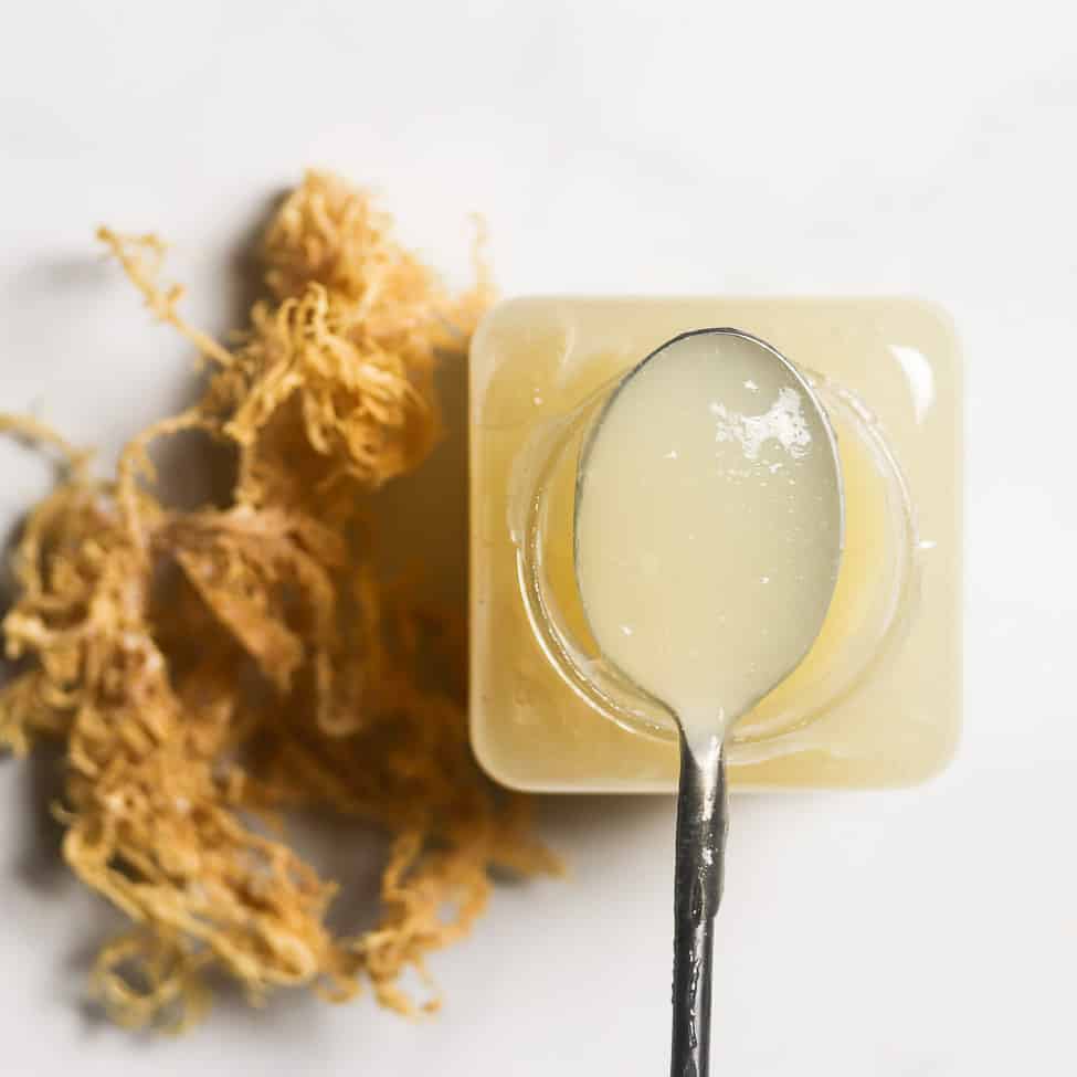 Image of Sea moss which can be used in skincare