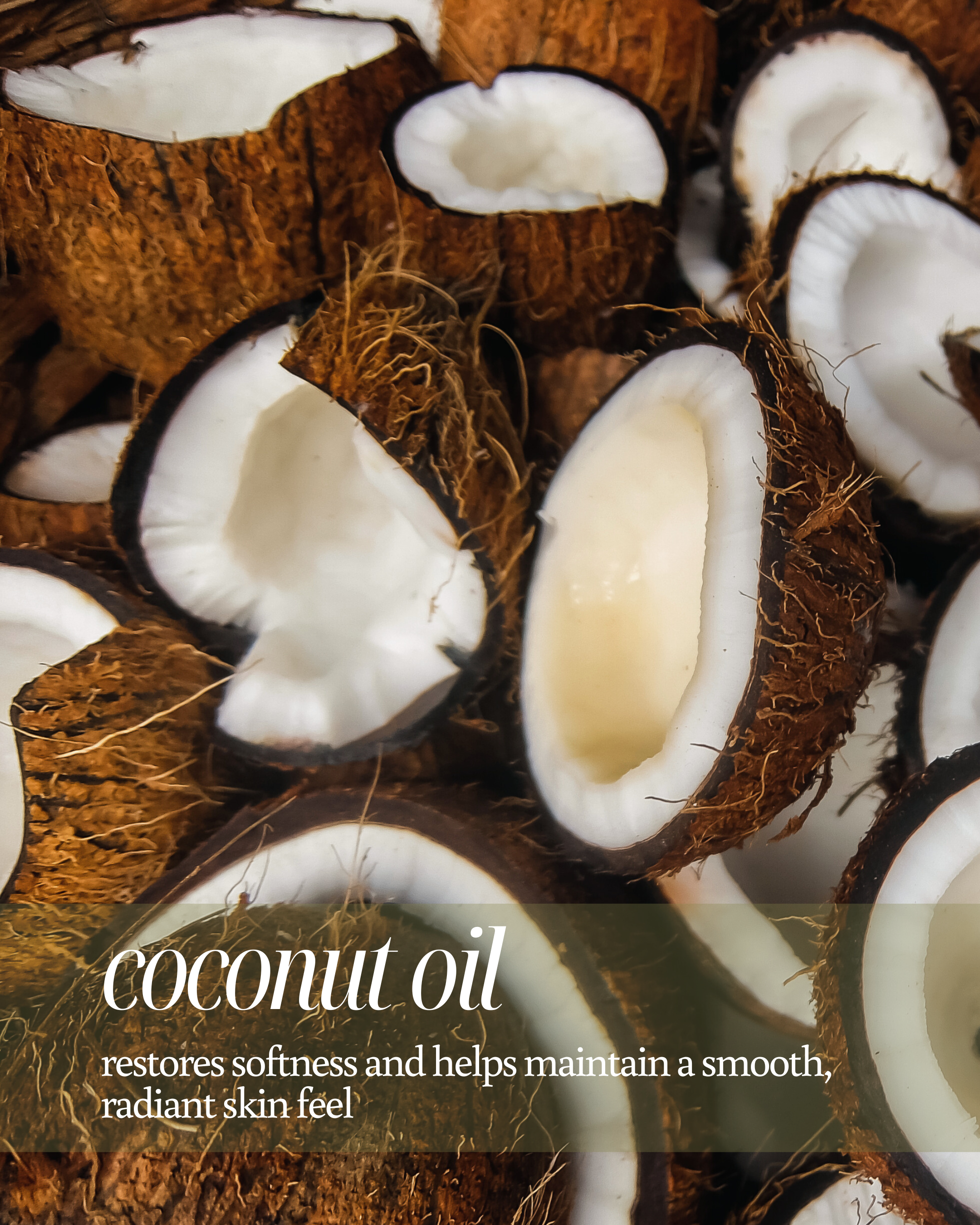 Coconut halves with text about coconut oil benefits reading "restores softness and helps maintain a smooth, radiant skin feel"