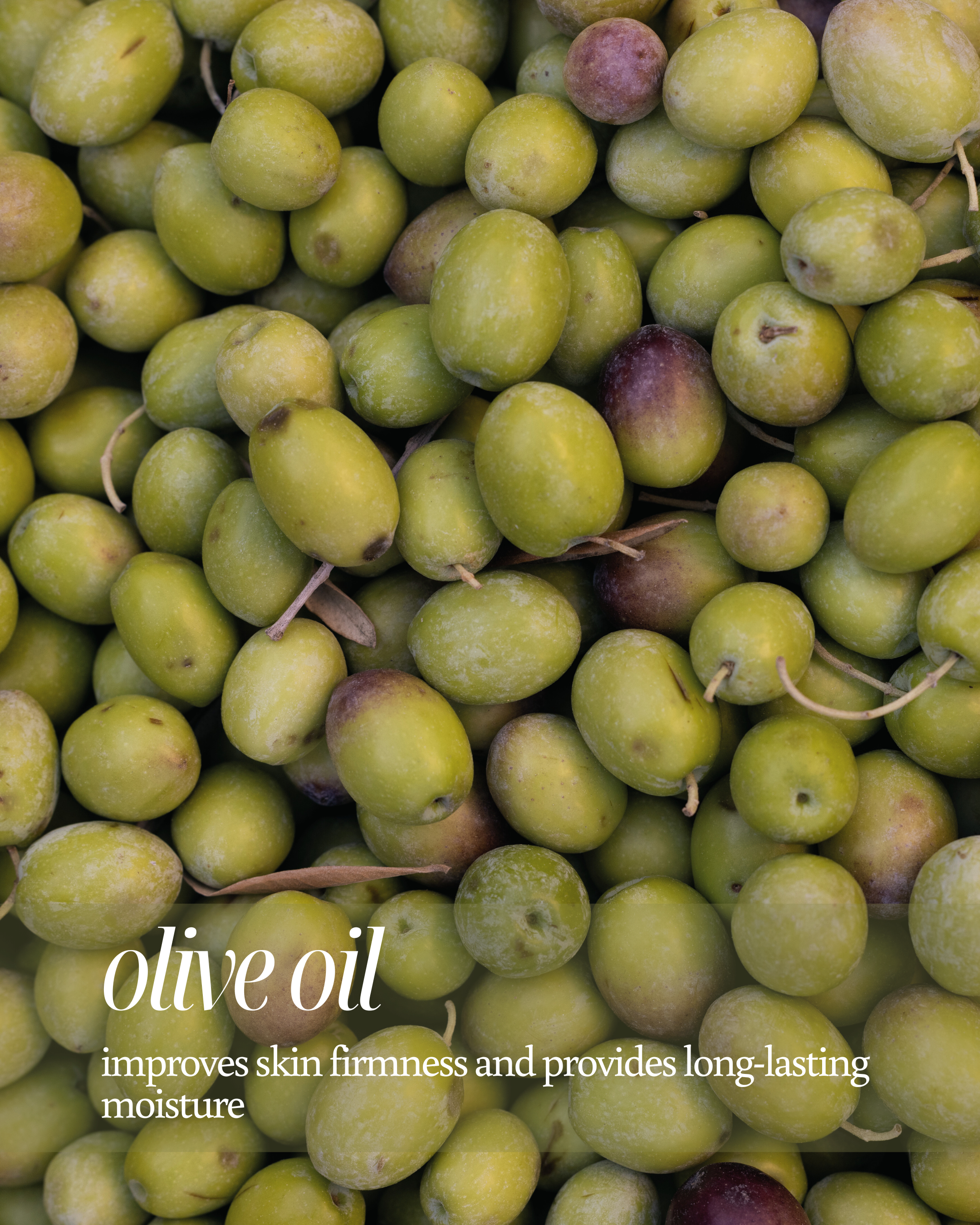 Close-up of green olives with text about olive oil benefits reading "improves skin firmness and provides long-lasting moisture"