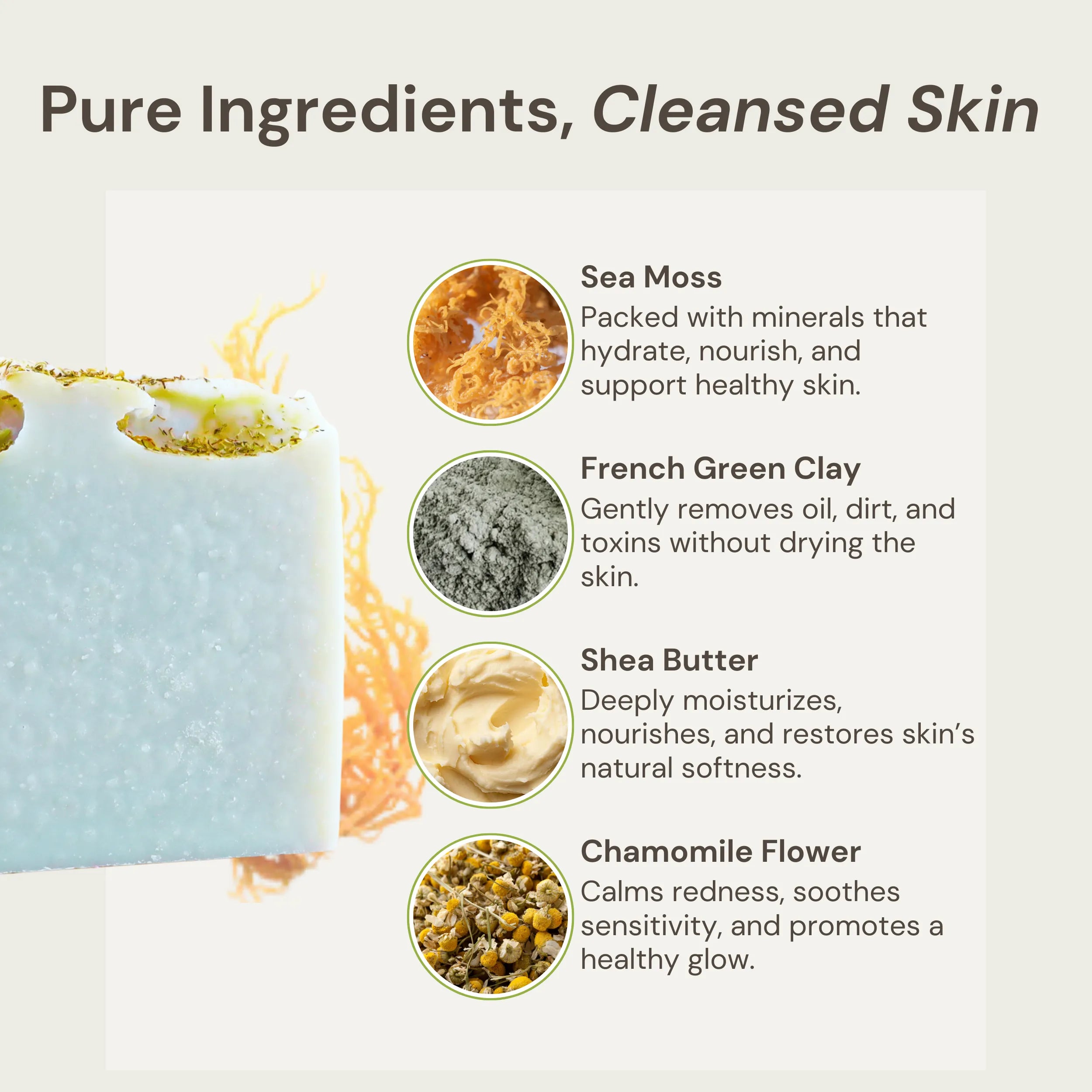 Nature's Circle Care Marine Revival Soap and sea moss on the right. Text highlights its key ingredients and benefits: Sea Moss  - Packed with minerals that hydrate, nourish, and support healthy skin. Turmeric - Aids healing, evens skin stone, and reduces dark spots. French Green Clay - Gently removes oil, dirt, and toxins without drying the skin. Shea Butter - Deeply moisturizes, nourishes, and restores skin’s natural softness. Chamomile Flower - Calms redness. Emphasizing 'Pure Ingredients, Cleansed Skin.'