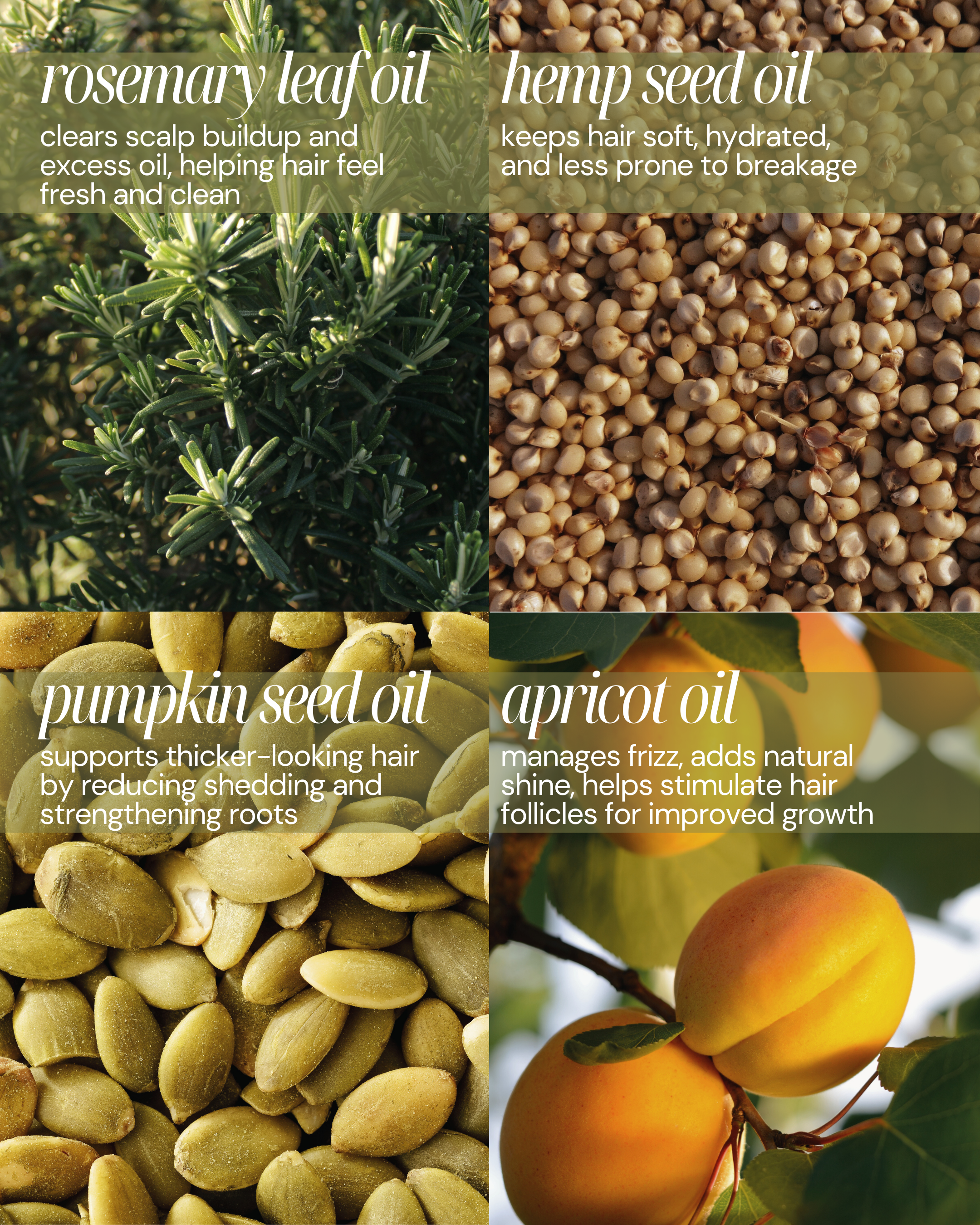Mystique Meadow Hair Elixir