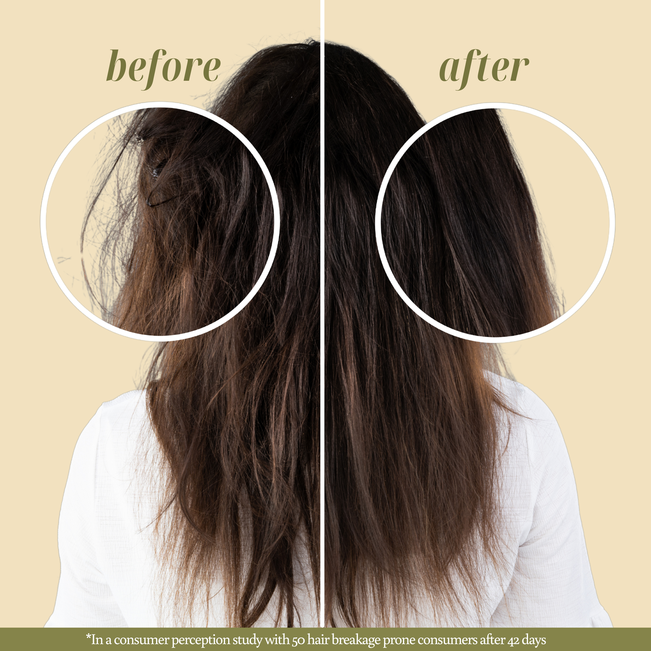 Before and After images of a customer using hair oil by Nature's Circle Care. The image on the left labeled as "Before" shows dry, dull, frizzy hair prone to breakage. The image on the right labeled as "After" shows that after 42 days of hair elixir/hair oil use the hair becomes nourishes, strong, and shiny.