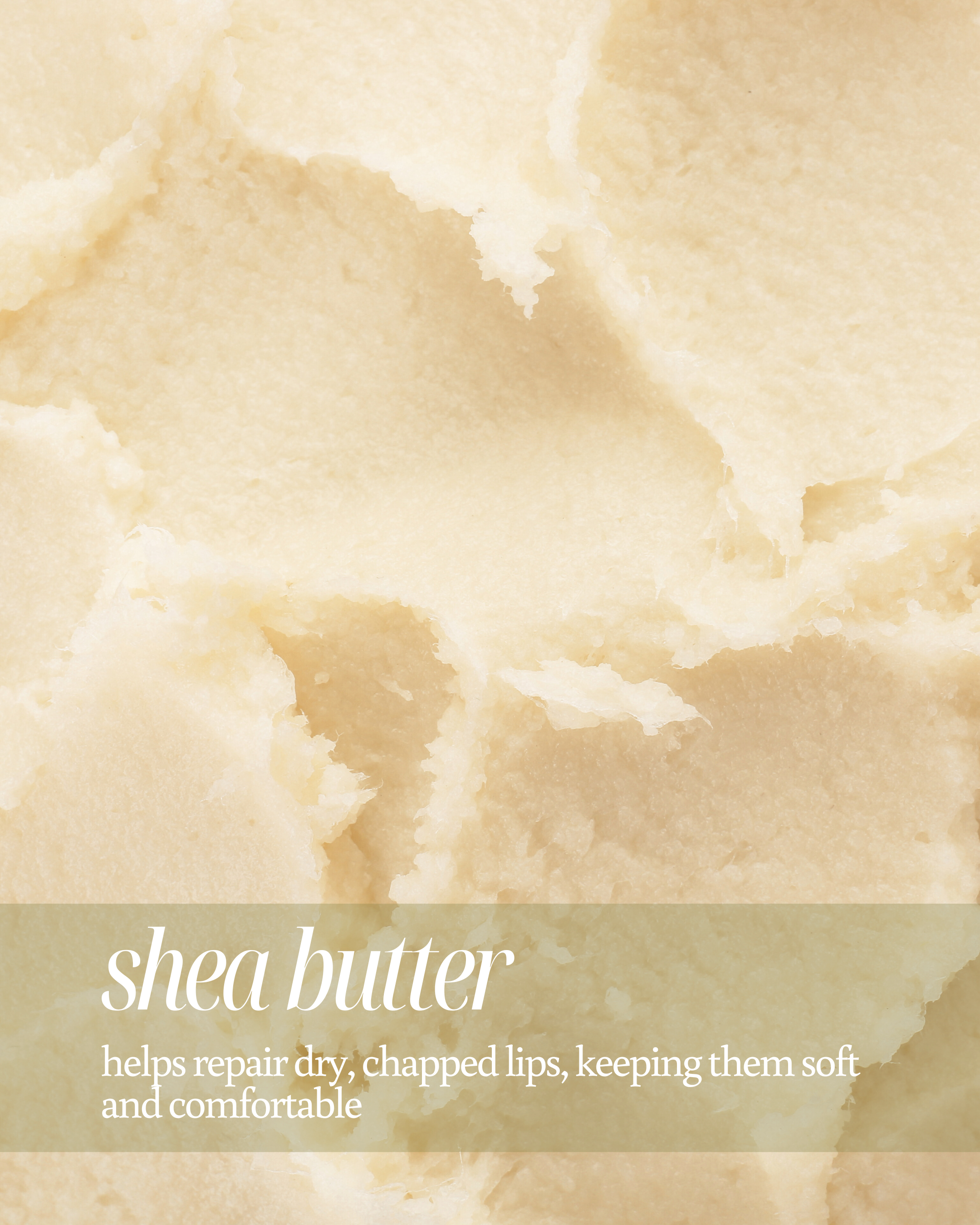 Close up of creamy shea butter texture used as background, highlighting its benefits in lip care stating, "helps repair dry, chapped lips, keeping them soft and comfortable"