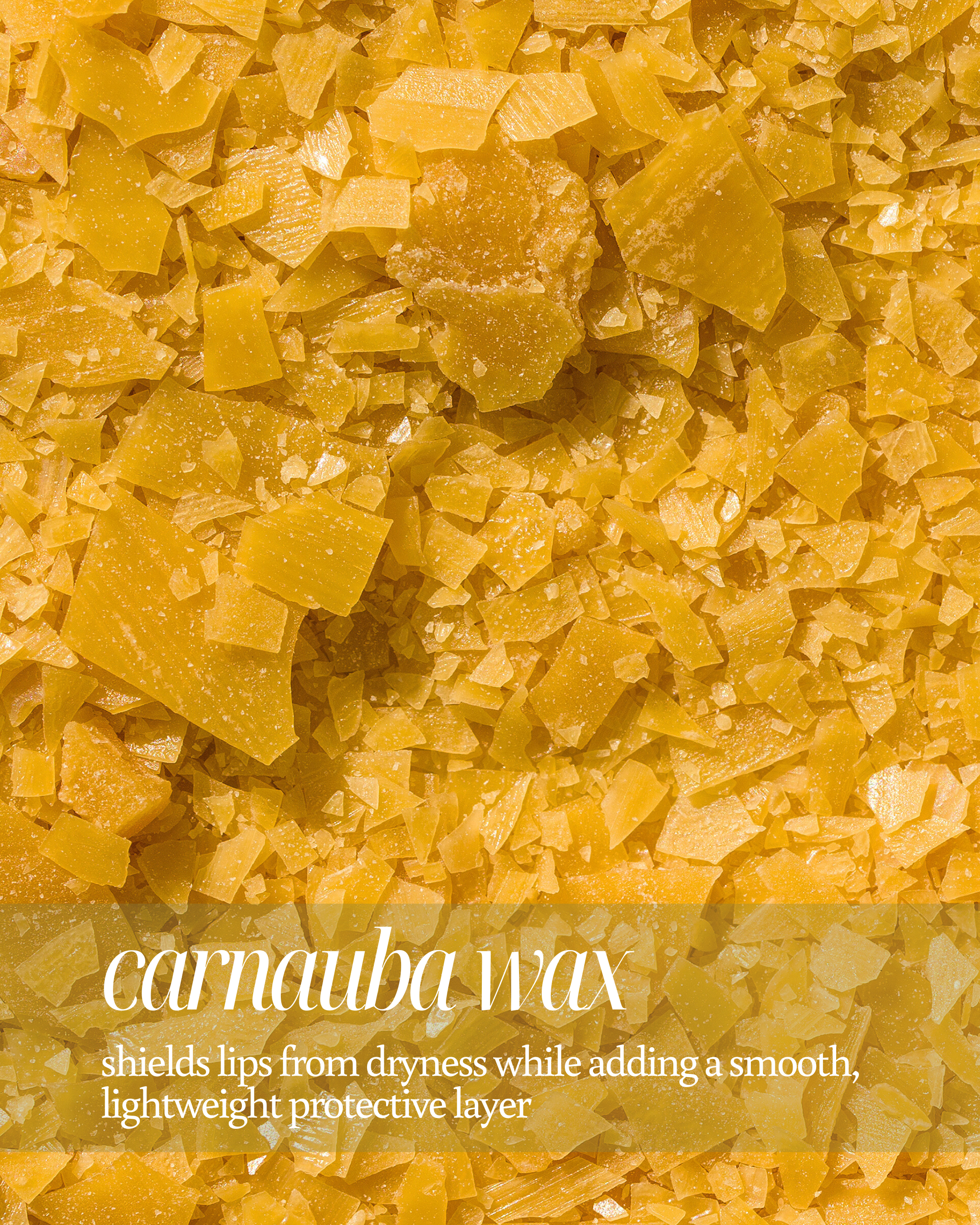 Close up of yellow carnauba wax flakes used as background, highlighting its benefits in lip care stating, "shields lips from dryness while adding a smooth, lightweight protective layer"